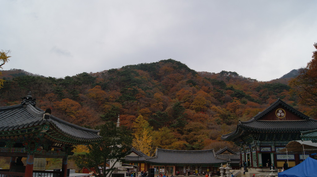 용문사 이미지