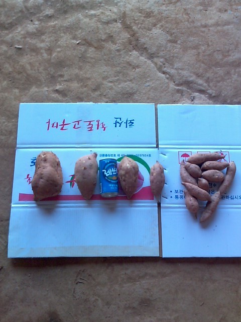 땅끝농업협동조합 이미지