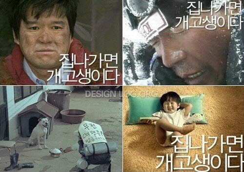 KT travel 이미지