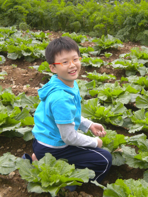 영일컴 이미지