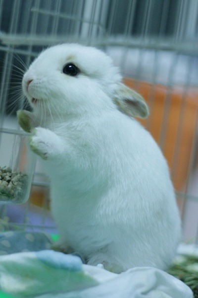 놀지 이미지