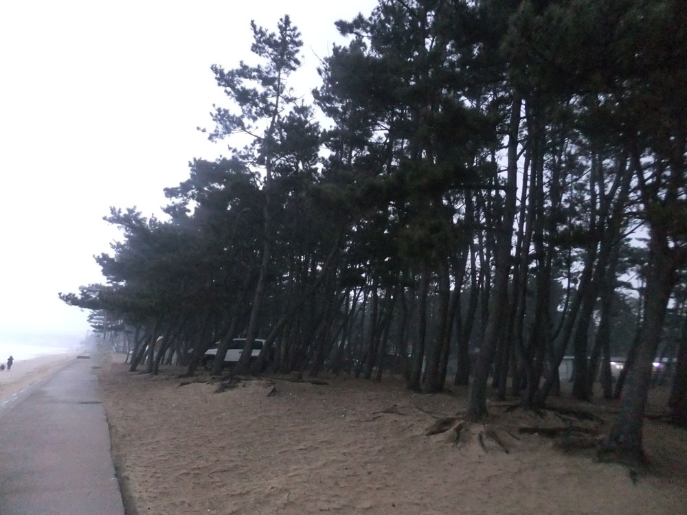 몽산포랑바다랑 이미지