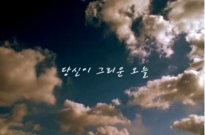 씨실과날실 이미지