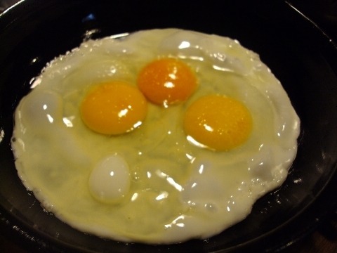 정류장식당 이미지