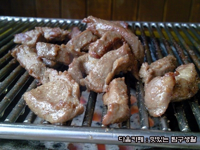 서래갈매기 이미지