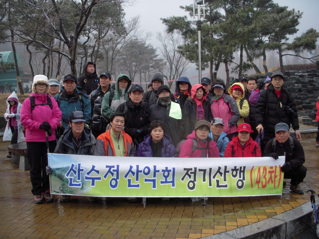산수정 이미지