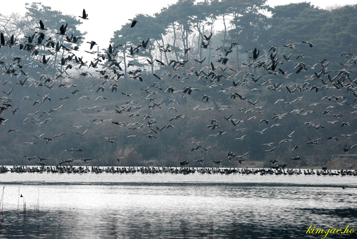 어린왕자의들꽃사랑마을
