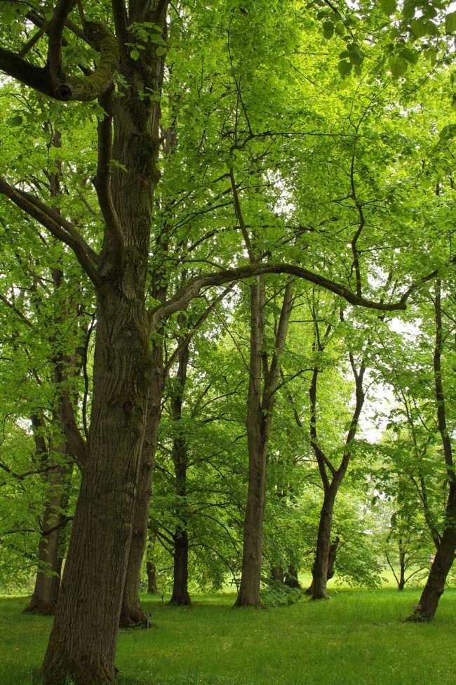 마음이 정화되는 게시물 | 인스티즈