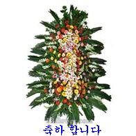 세무법인바로 이미지