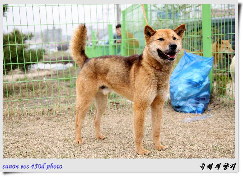 선산고을 이미지