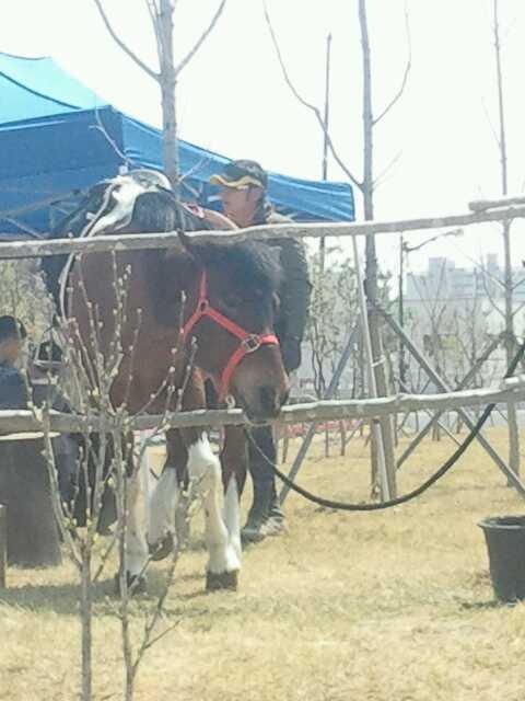 머리마을 이미지