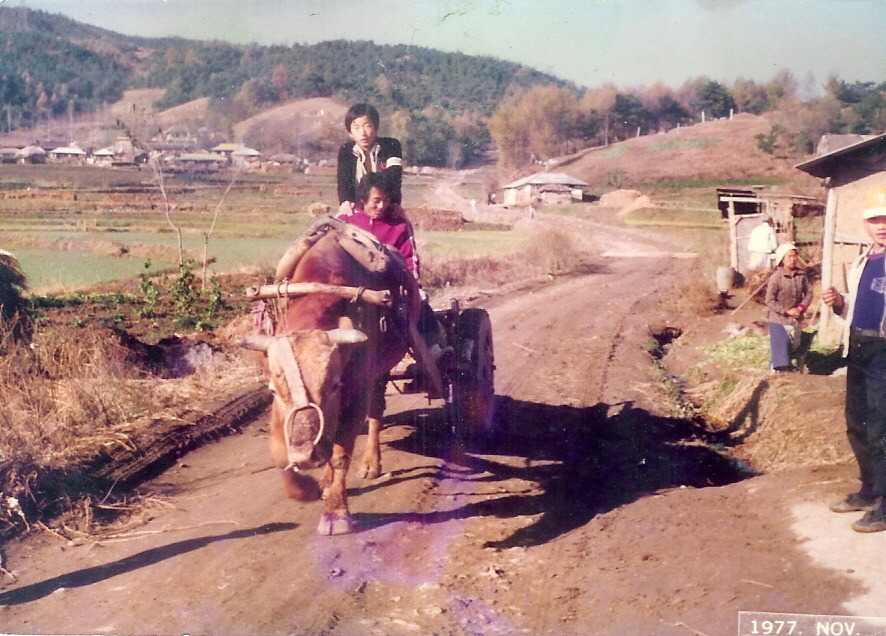 소달구지 이미지