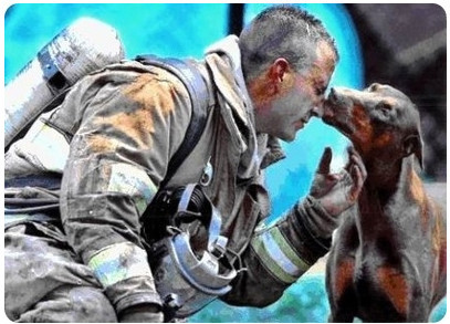 숙연해지는 사진들 | 인스티즈