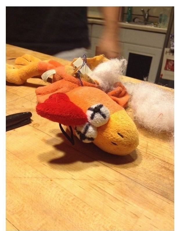 우리집 멍멍이의 닭장난감 수술기.jpg | 인스티즈