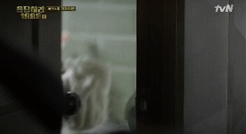 [응답하라1988] 유독 명장면으로 자주 언급되는 김정환 씬들.jpgif | 인스티즈
