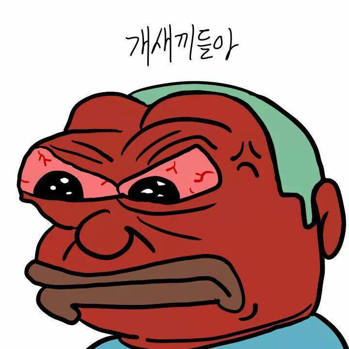 2017년 첫 개구리 | 인스티즈