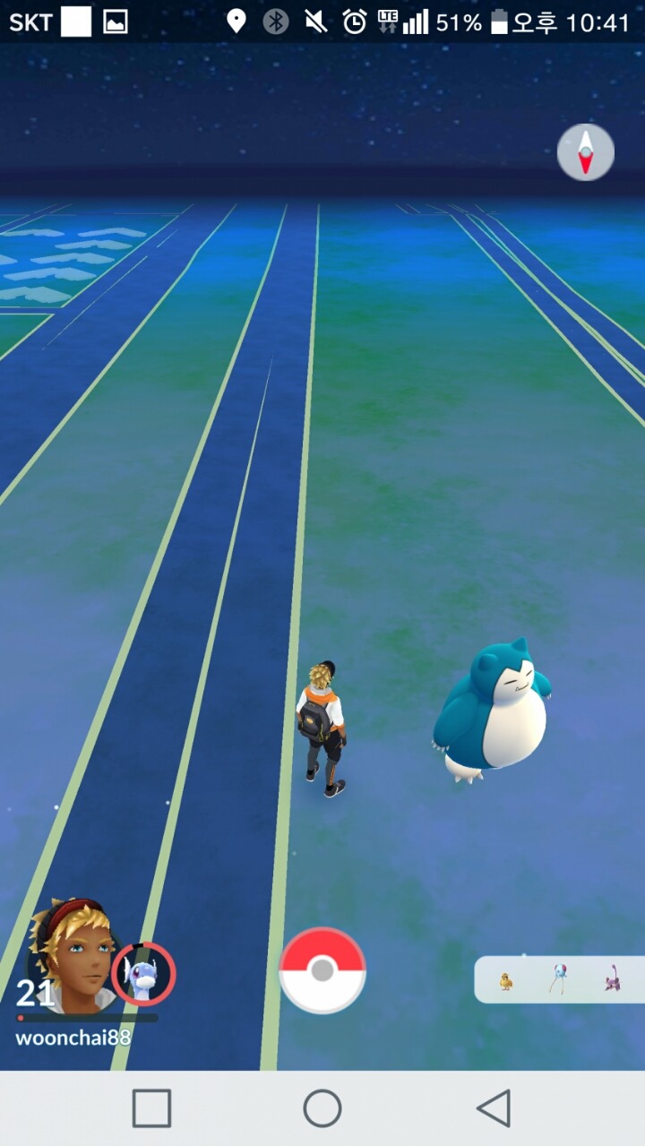 잠만보 잡으려다 강에 빠지고 경찰차탄 디씨인 | 인스티즈