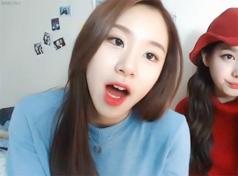 [트와이스] 심바 닮아서 아기맹수라고 불리는 채영이 짤들.jpg | 인스티즈