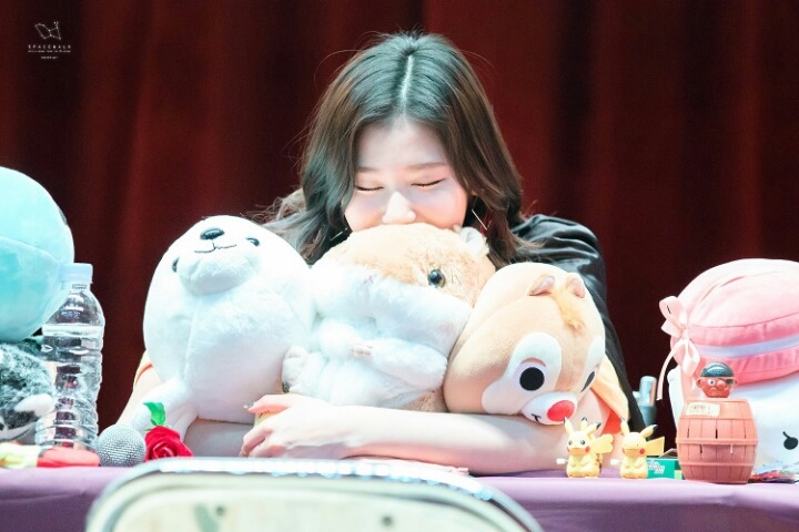팬사 이미지