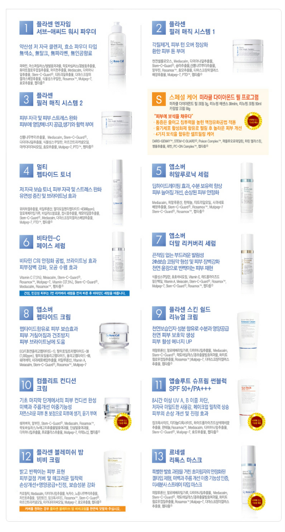 르네셀 이미지