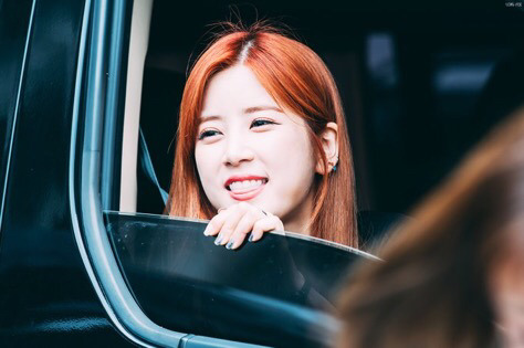 [에이핑크] 습도가 떨어질 기미가 보이질 않아서 박초롱 | 인스티즈