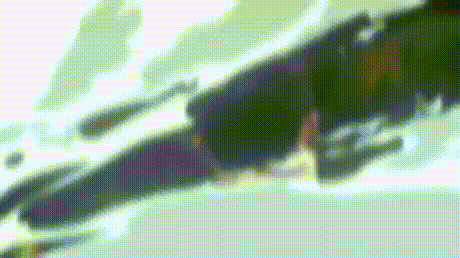 쓸데없이 고퀄.gif | 인스티즈
