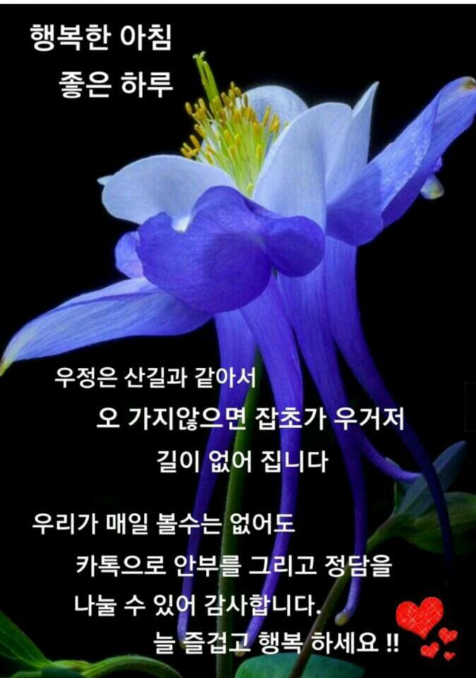 산보 이미지
