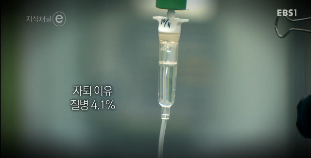 지식채널e - 공부 안 하는 아이 | 인스티즈