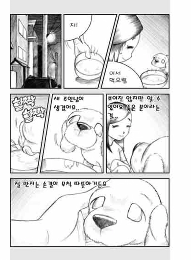 [눈물주의슬픔주의] 당신은 강아지에게 다정한 주인인가요? | 인스티즈