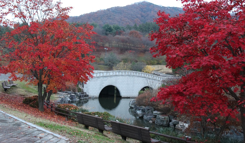 금강수목원 이미지