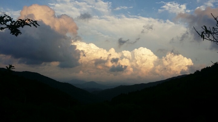 축령산휴림 이미지