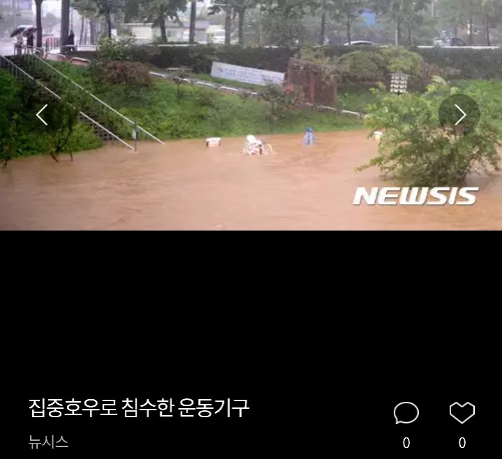 침수된 차량 위에 올라간 고양이 | 인스티즈