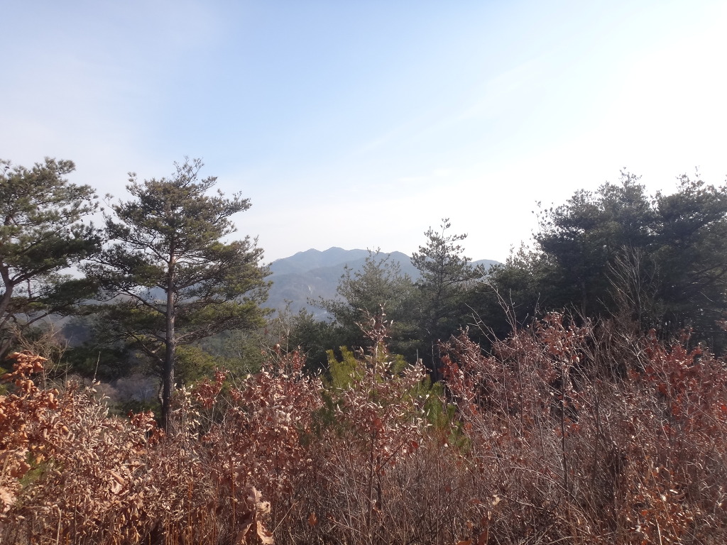 사일산 이미지