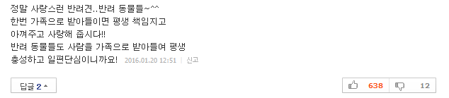 반려견이 당신을 사랑할 때 하는 행동 10가지 | 인스티즈