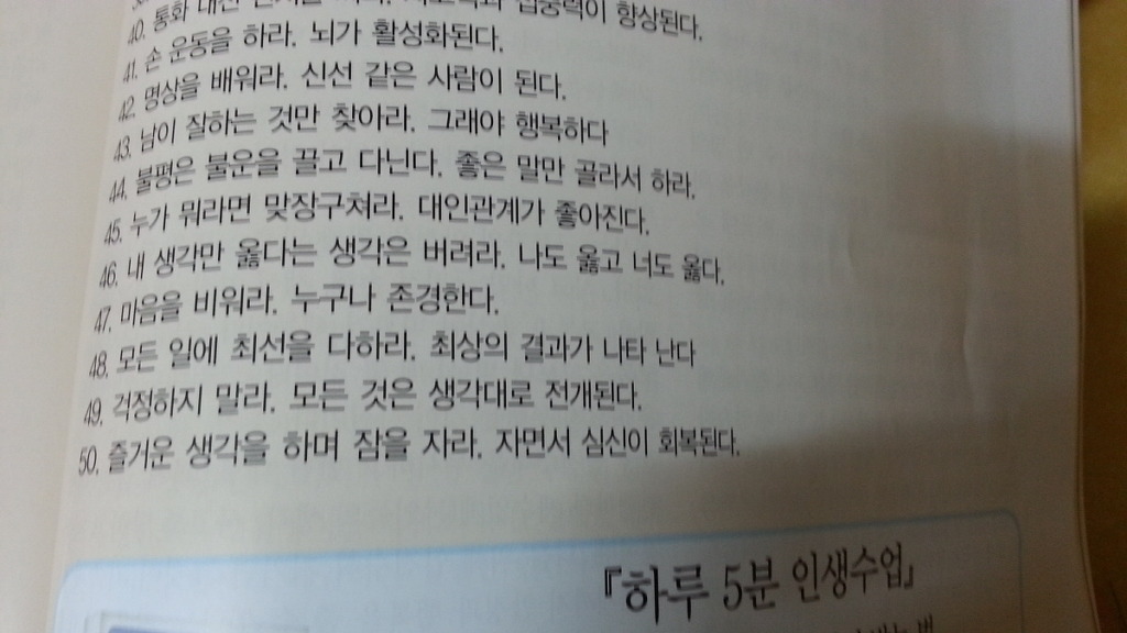 솔벗 이미지