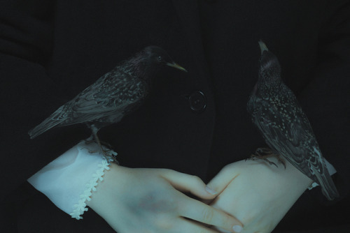  온도가 다를 수 있다 | 인스티즈