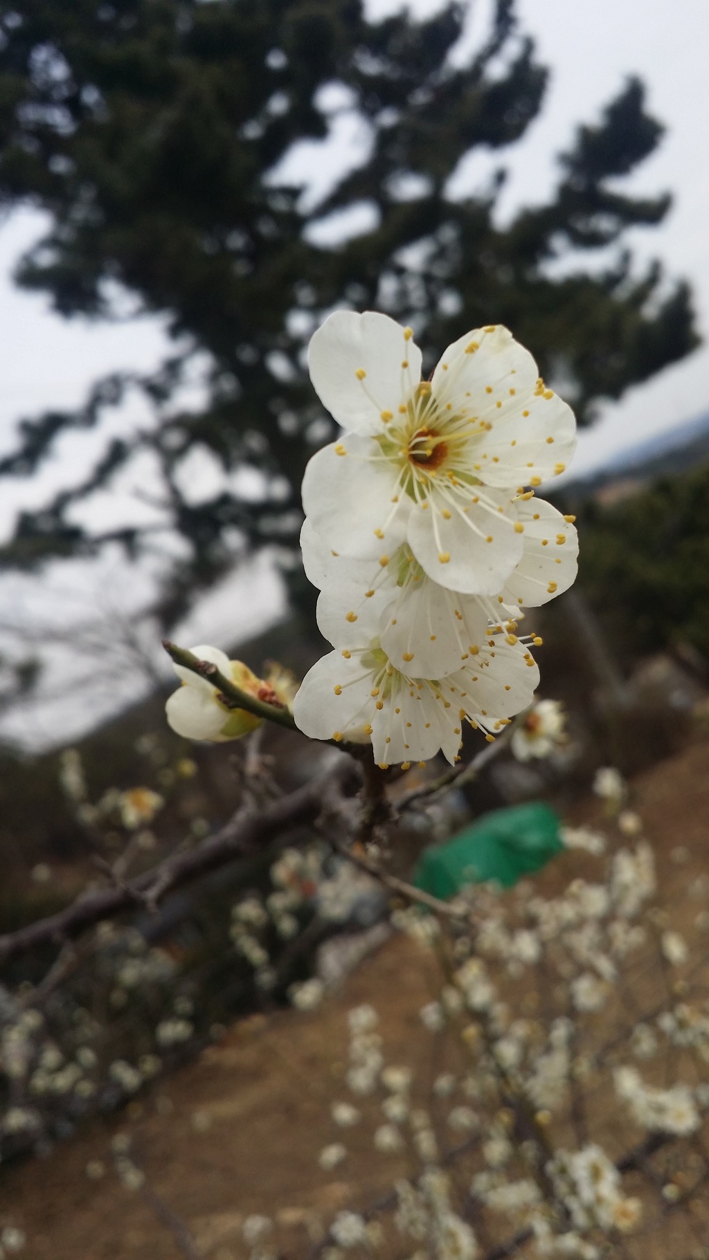 (주)부산나비 이미지