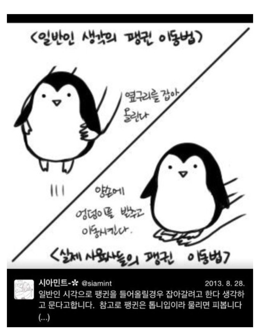 펭귄 이동시키는 방법 | 인스티즈