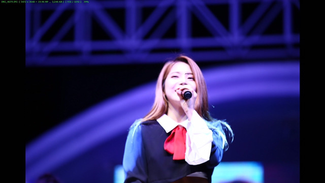 아이돌 찍다가 날아가는 벌레에 초점잡힘 (feat. 솔라) | 인스티즈