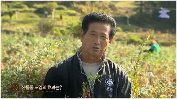 희망약초 이미지