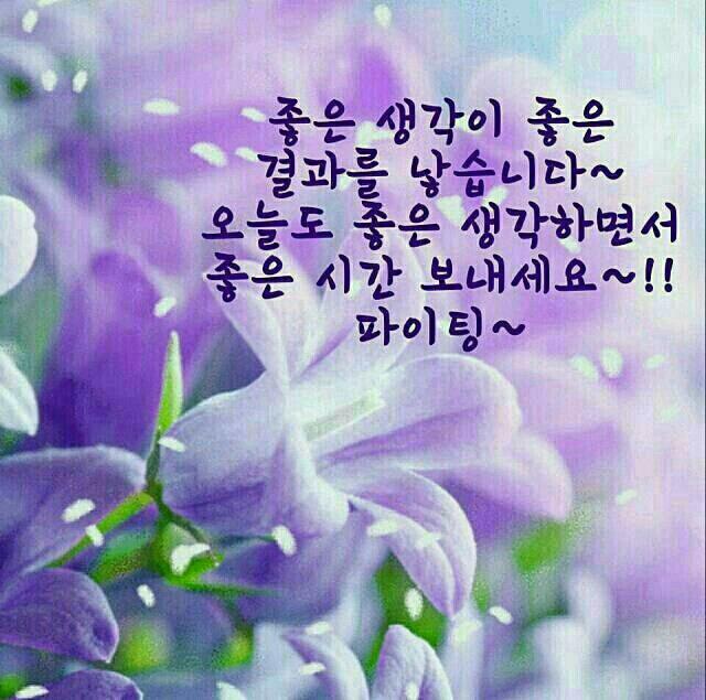 이상네트웍스 이미지