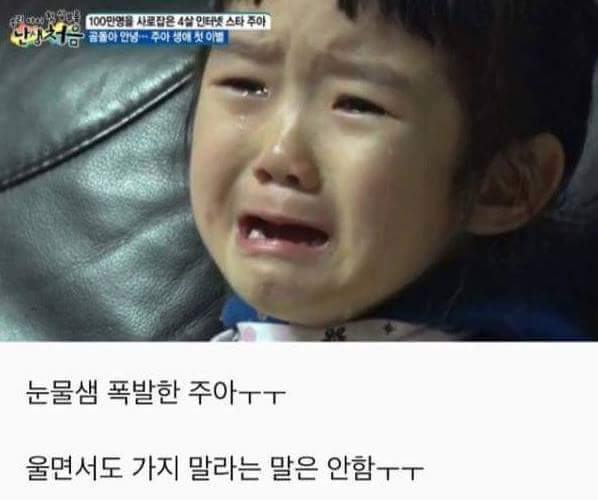 (슬픔주의)이별을 처음 겪어보는 4살짜리 아이 (귀염주의) | 인스티즈