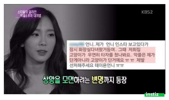 고양이가 리플 달았습니다의 원조 | 인스티즈