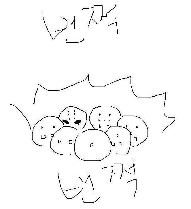 롯데 의문의 1패 | 인스티즈