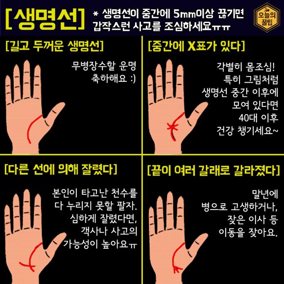 재미로 해보는 손금 보는법 | 인스티즈