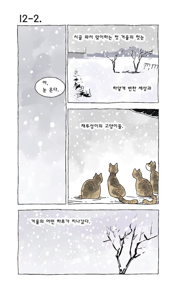 고양이 여덟마리와 사는만화 | 인스티즈