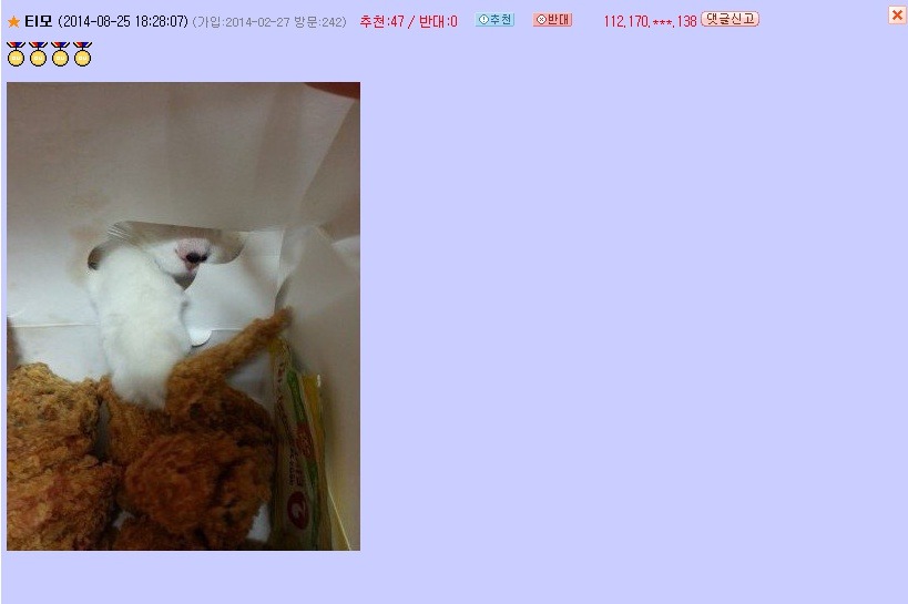 오유 이미지