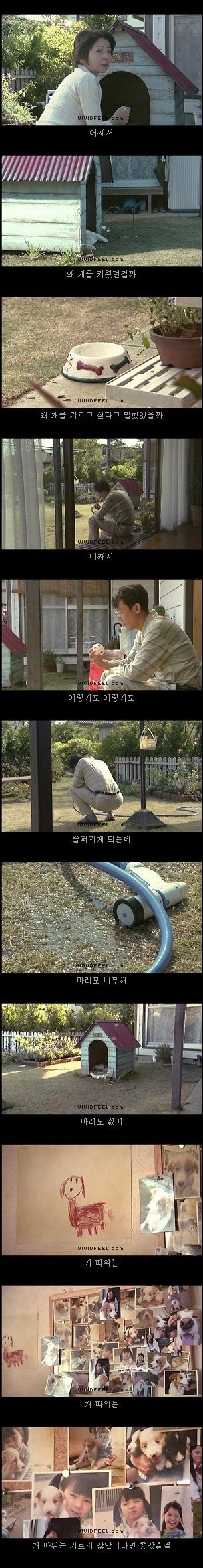 당신의 반려동물과의 이별을 생각해 본 적이 있습니까? | 인스티즈