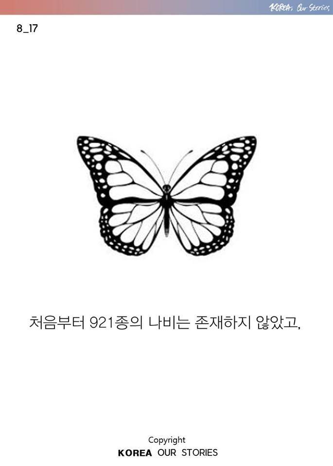 한국에서 나비가 사라졌다 | 인스티즈