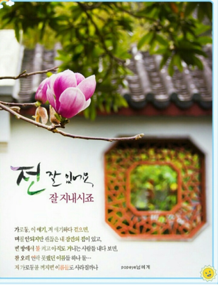 포아포 이미지
